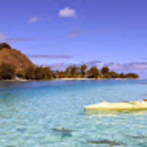 Meet your Posher, Katelyn